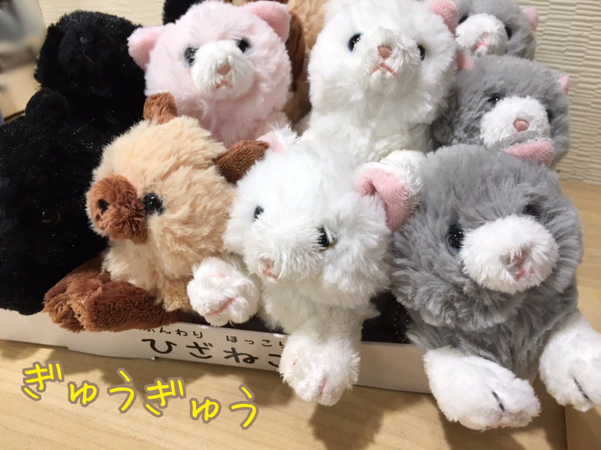 Leunなんば店 ひざねこ ふわもこくったり感がかわいいひざねこ ちび が大人気 キュートな肉球にも注目 猫雑貨 猫が好き ひざねこ ふわもこ倶楽部 ぬいぐるみ キーホルダー おそろい ルアンなんば店 なんばウォーク Namba Osaka