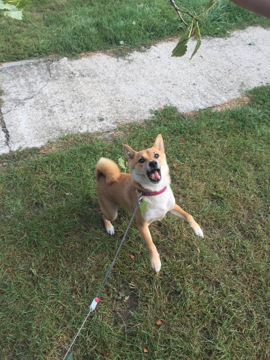 Happy to be outside:3 m.youtube.com/channel/UCWqg1…