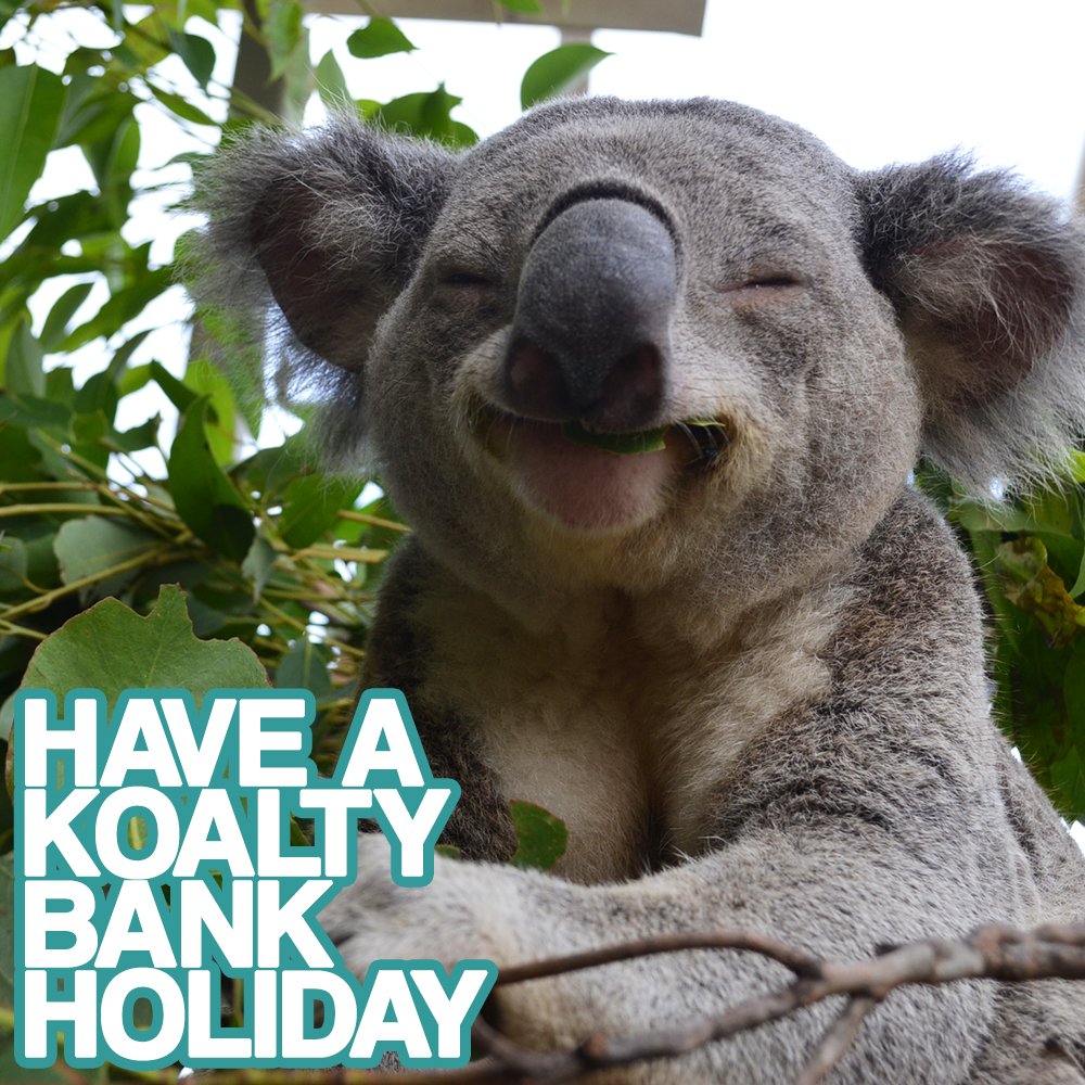 FreedomAus's tweet photo. 🐨 https://t.co/Zhnodpmegm
