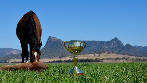 widdenstud's tweet photo. Wonderful open week in the #ValleyOfChampions. Thanks to everyone for visiting &amp; good luck to all breeders in the season ahead! 
#Widden150 https://t.co/lylz01eh7j