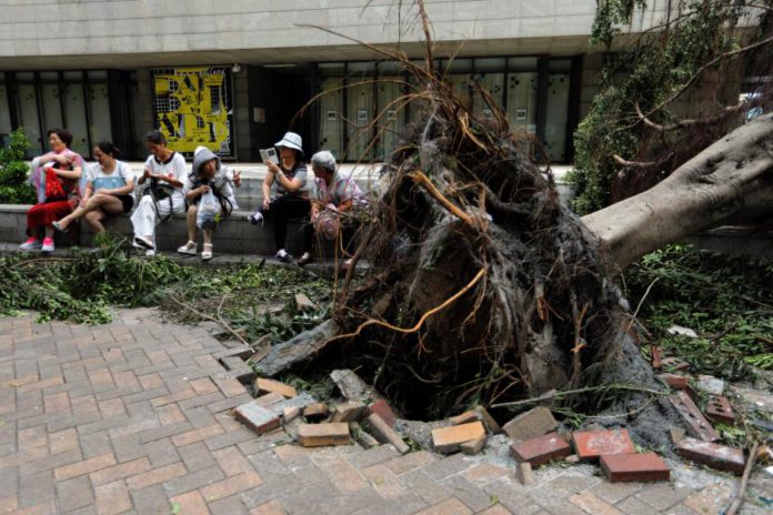dinovgomes's tweet photo. "Portuguese school of Macau damaged by Typhoon Hato" read more on: https://t.co/L7d5u6TWfF #TyphoonHato #Macau #senhorcabo #portugueseblog https://t.co/FlmPBQwuPa