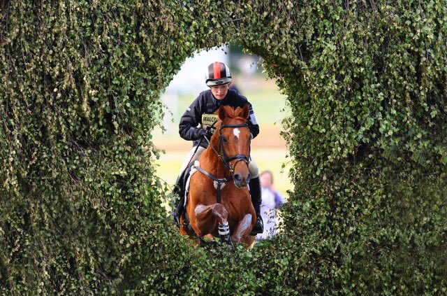 Love #Horses &amp; love #photography ? Join me on my #sportsphotography course at Burghley Horse Trials #LRBHT bit.ly/2vFxybR