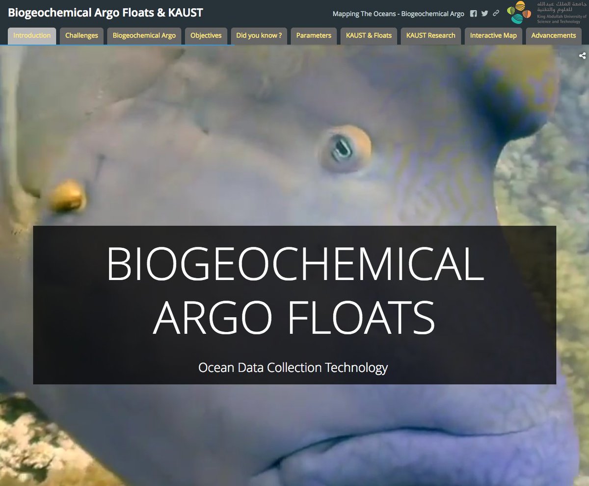IOP_Observatory's tweet photo. Making @RSRC_KAUST research visible through #storymaps Have a peek: https://t.co/3PQQ7dq9fA @KAUST_News 4 weeks, 2 interns, 1 #bioargo story https://t.co/YSOqFOVBjT