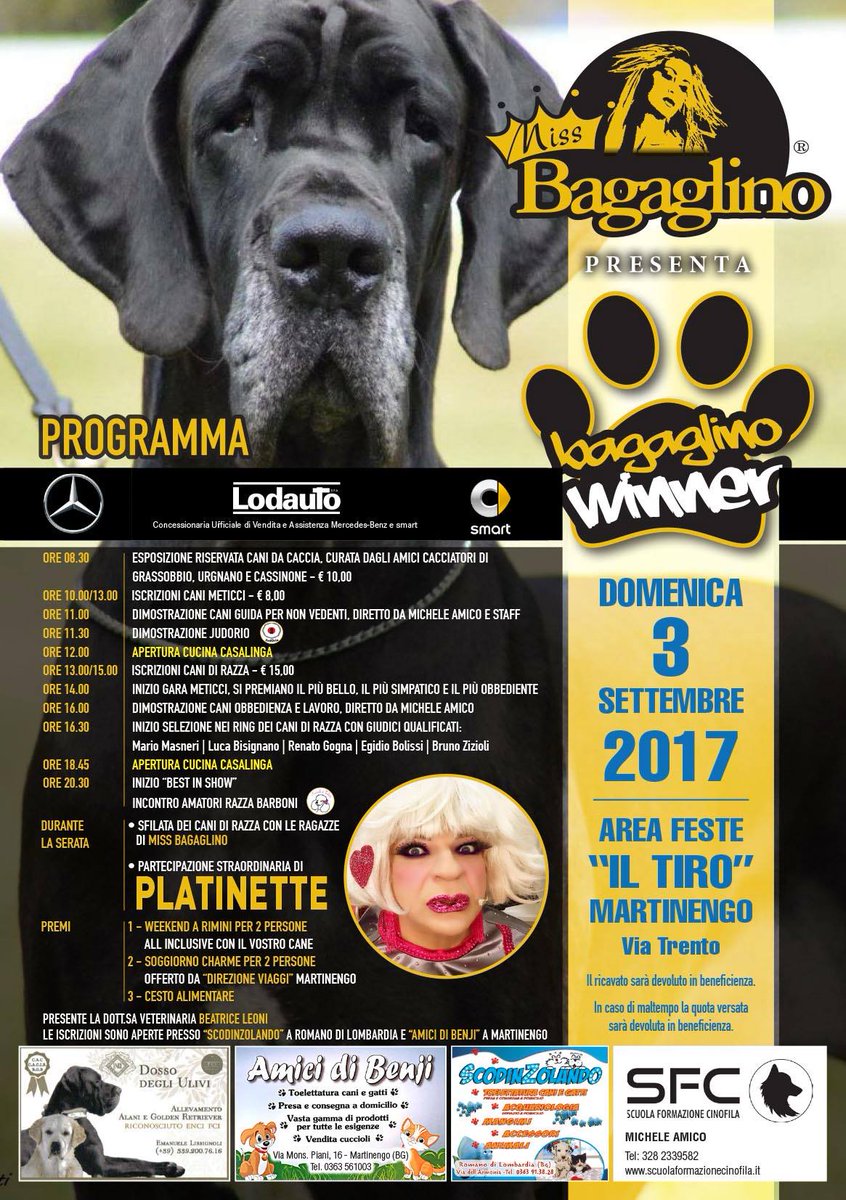 Lodautospa's tweet photo. Lodauto ti aspetta con le sue Stelle, domenica 3/09 a Martinengo per una giornata dedicata ai nostri amici cani! Ospite evento, Platinette! https://t.co/5QnOv275hp