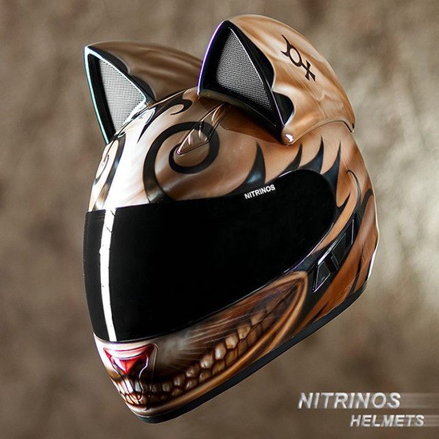 OtHelmet's tweet photo. love this cat helmet

#motorcycle #cat #HELMET https://t.co/EXVAUKljck