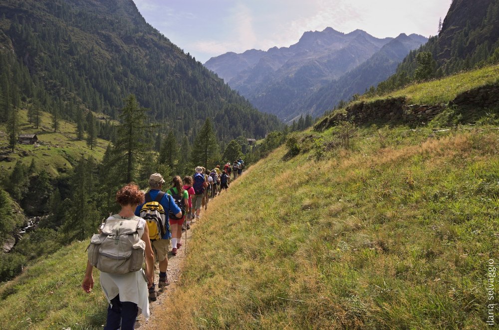 sesiaSV's tweet photo. Bel giro in val Vogna! Grazie alla collaborazione speciale di Mario Soster e del museo Walser! #Valsesia #SesiaValGrande #UNESCO #geopark https://t.co/ByJ6Mc9TGv