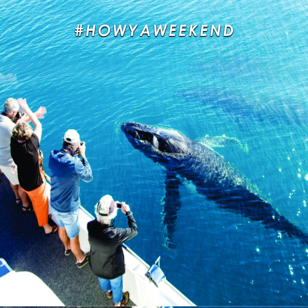 avienti's tweet photo. Tag a friend who enjoys seafaring. Happy weekend to y'all.
#avientitravellimited #howyaweekend #weekend #travel #weekendvibes https://t.co/BDgvyuZX7F
