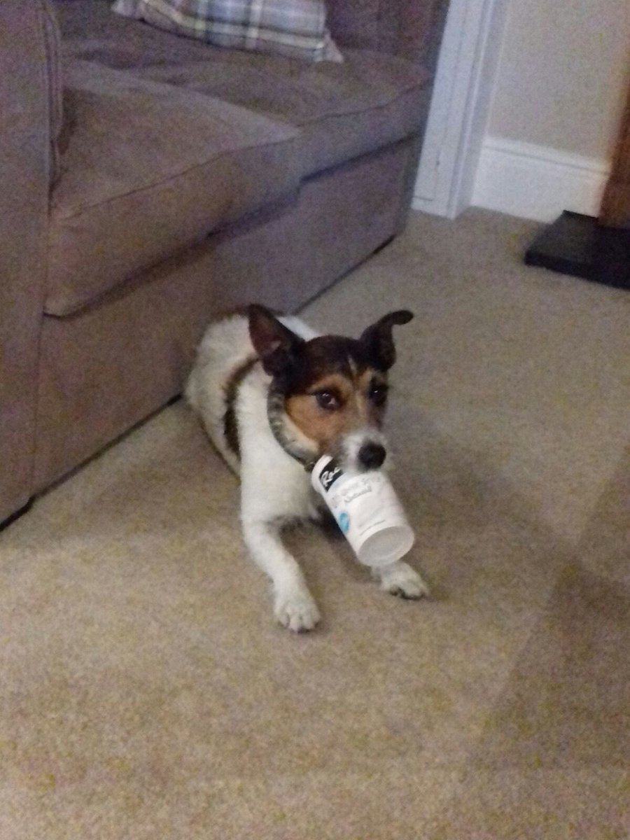 Couldn't wait for #overnightoats <a href="/RachelsOrganic/">Rachel's</a>