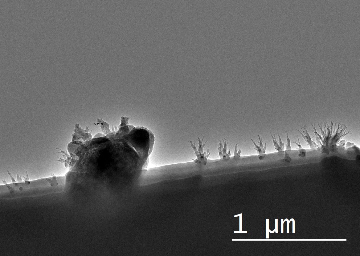 DTUNanolab's tweet photo. #CenergyII summerschool was a huge success! Congrats to Solene Barbotin, Peter Kunnas, Xin Wen & Yulin Gan for their winning #micrograph https://t.co/OchxtXVGgq