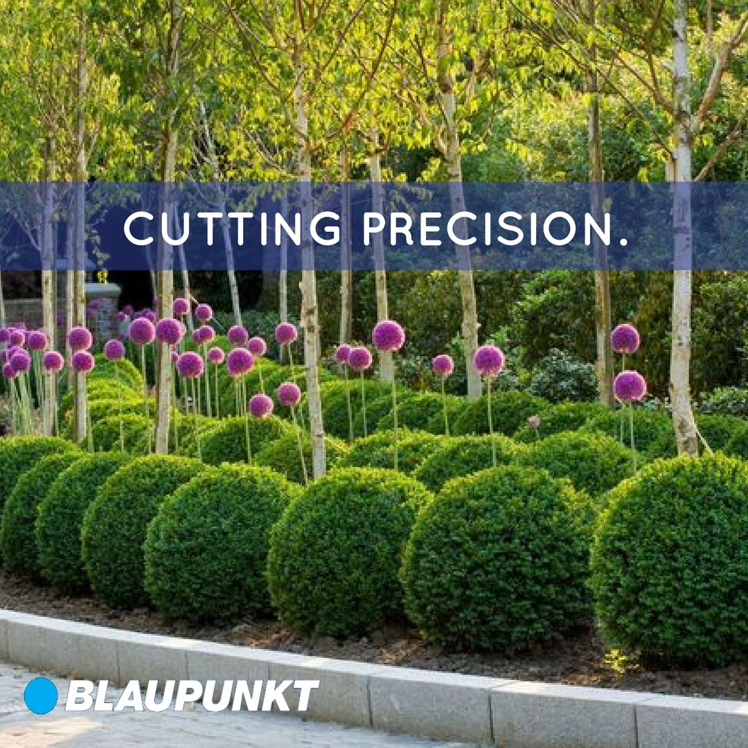 BlaupunktTools's tweet photo. These beautiful shrubs can be in your garden. With the fantastic tool MX6000 7.2V MULTIFUNCTION LI-ION HEDGE, SHRUB AND GRASS SHEAR. https://t.co/g3PAE68akN