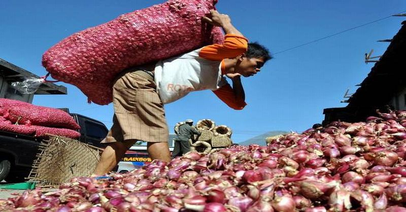 Mantap! Indonesia Ekspor 247 Ton Bawang Merah ke Thailand dan Singapura okz.me/CYsEx