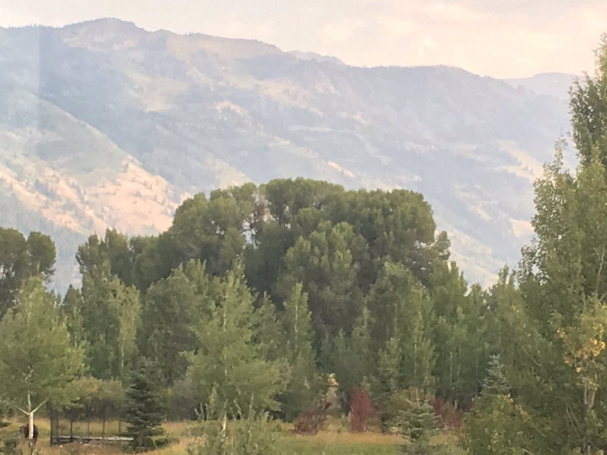 Amylyndra's tweet photo. Great time at eclipse right as temperature dropped https://t.co/jMtuwV2nKm