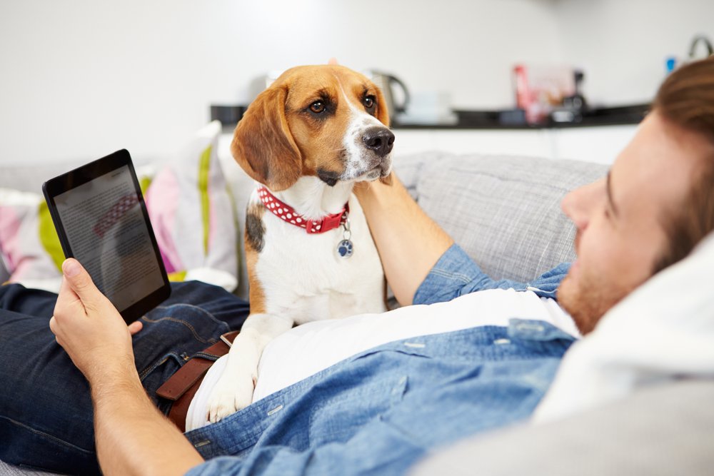 UcapsaMx's tweet photo. Esta peli es la mejor manera de calmar a tu perro cuando hay juegos pirotécnicos.
https://t.co/spdR39L8rj https://t.co/0KbhXVtkuA