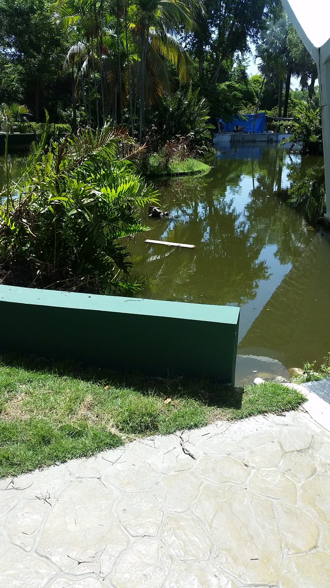 Vacation Club Gossip & Industry News tweet media