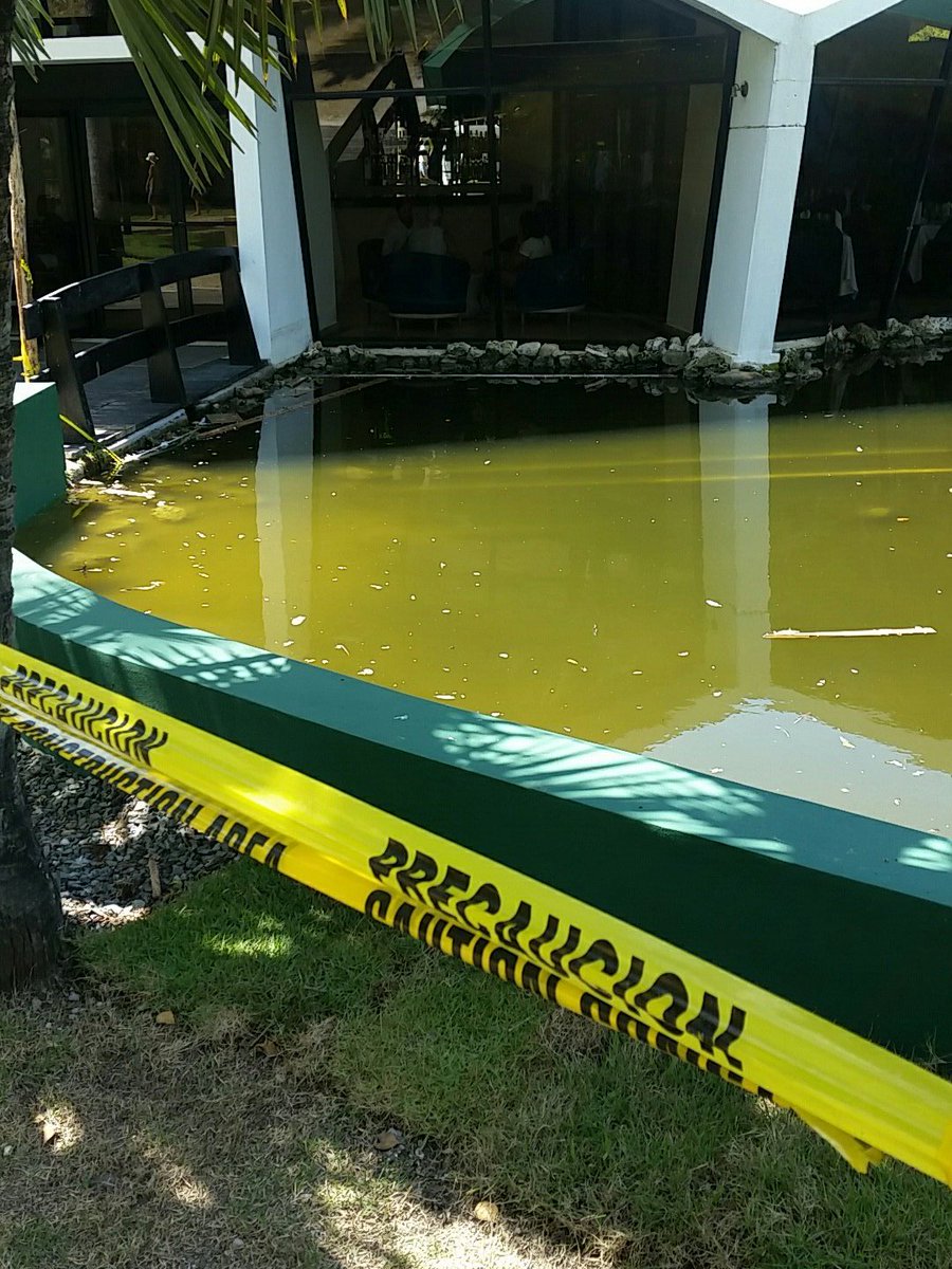 Vacation Club Gossip & Industry News tweet media