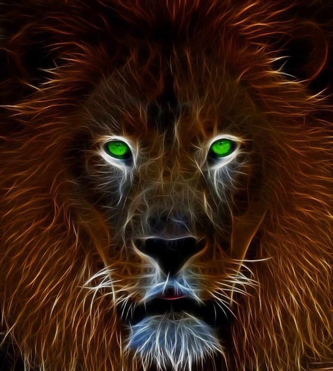 THEPANDORABOXII's tweet photo. @esnbill #DIGITAL #KING https://t.co/ttCOWc5aMQ