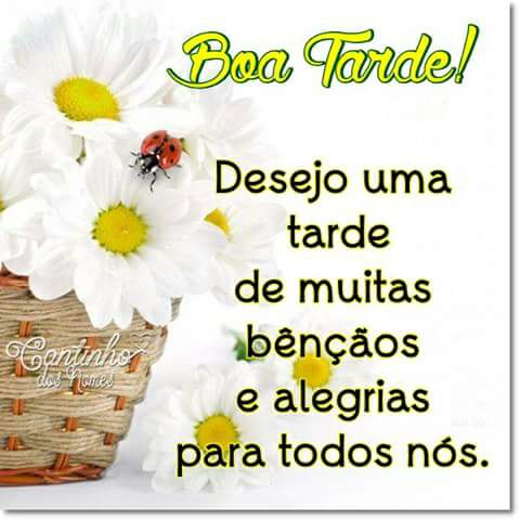 Giseli /TIM BETA#SDV (@giseligfr) on Twitter photo 