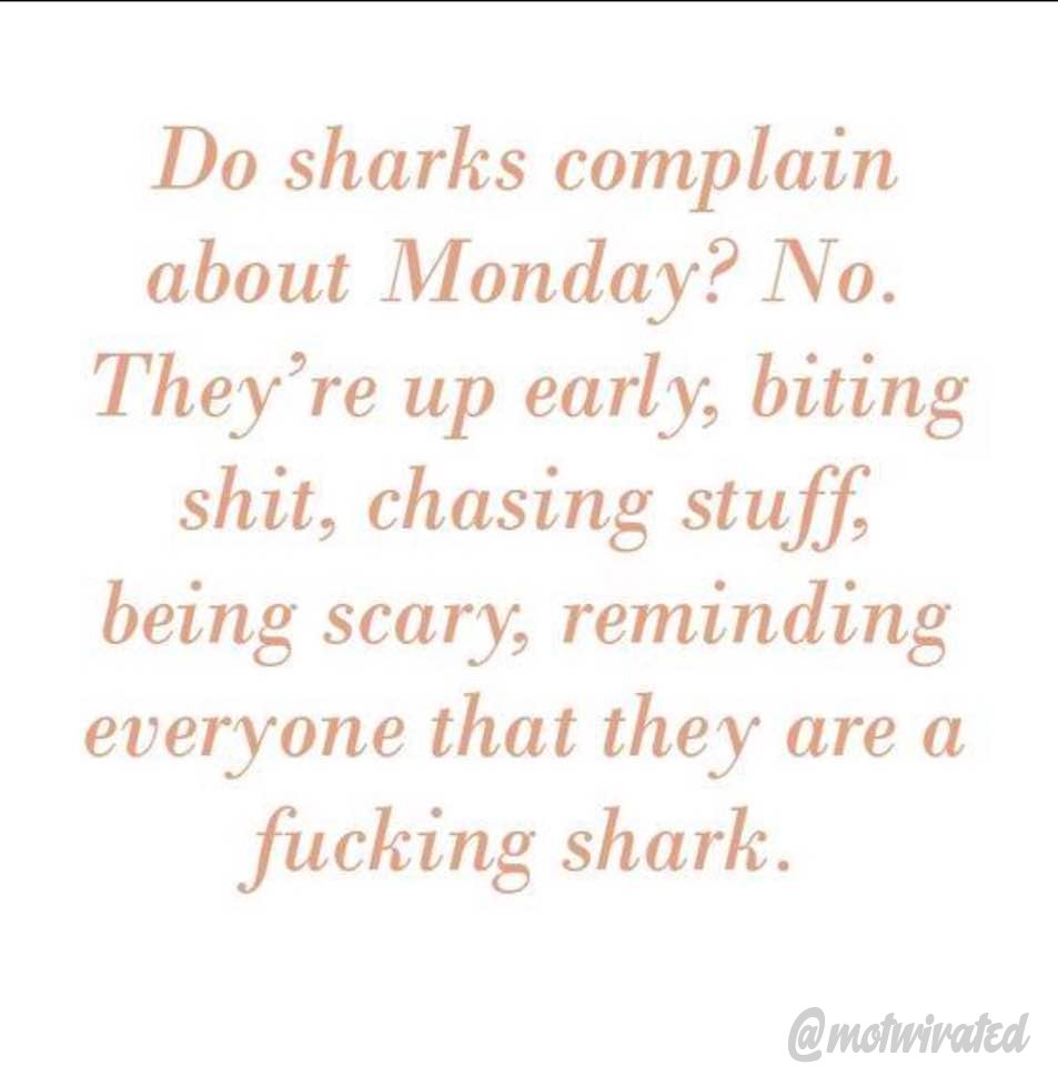 motwivated's tweet photo. #monday #motivation.. go for it! https://t.co/213MI4a9dQ