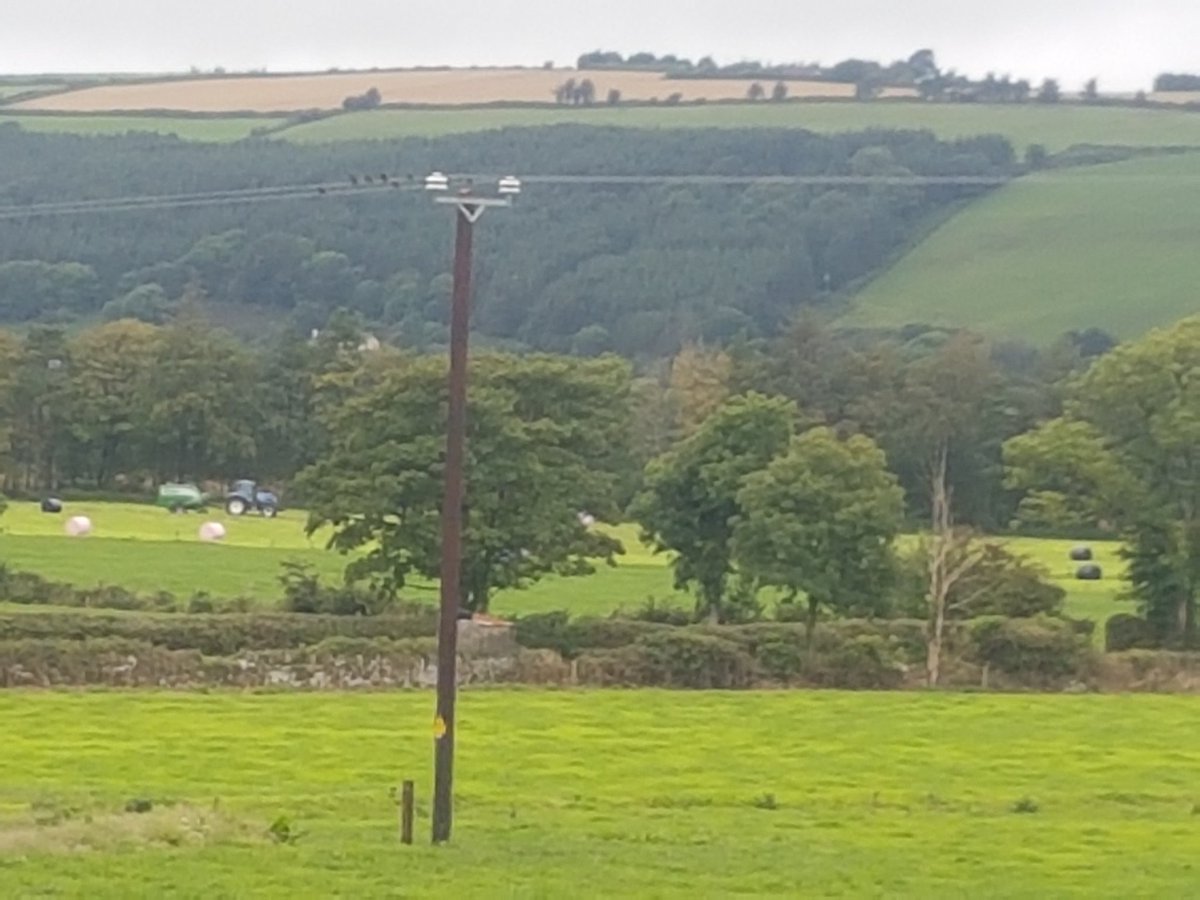 Peterhynes15's tweet photo. Another 50 #surplus bales too the tally #Grasstomilk #highdigestability @GCGrassForage #proudofdairy https://t.co/ga1pRJv2ar