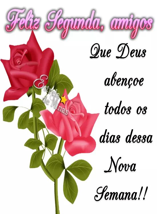 lisiane Souza (@souzalcs1) on Twitter photo 