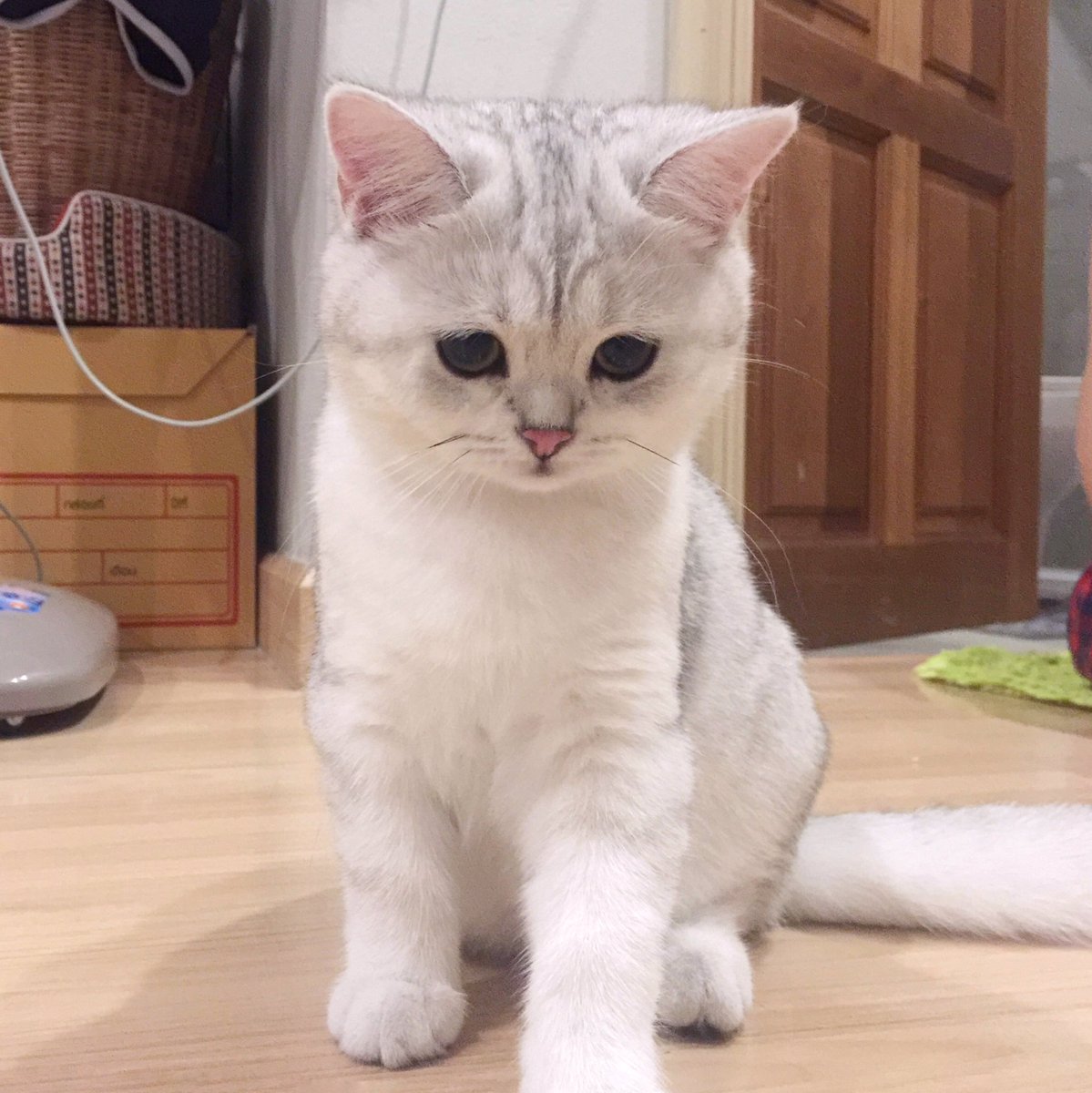 Bonusiie's tweet photo. นั่งดุนางที่เข้าไปเล่นในห้องน้ำ ละดูนางทำหน้า https://t.co/m1mvtXHWsu