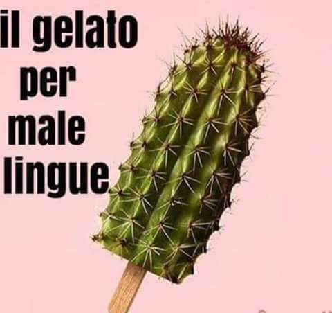 PatriziaDiGaet3's tweet photo. #ConIlVerde
@CasaLettori
#28Agosto https://t.co/xSBJsEEn3g