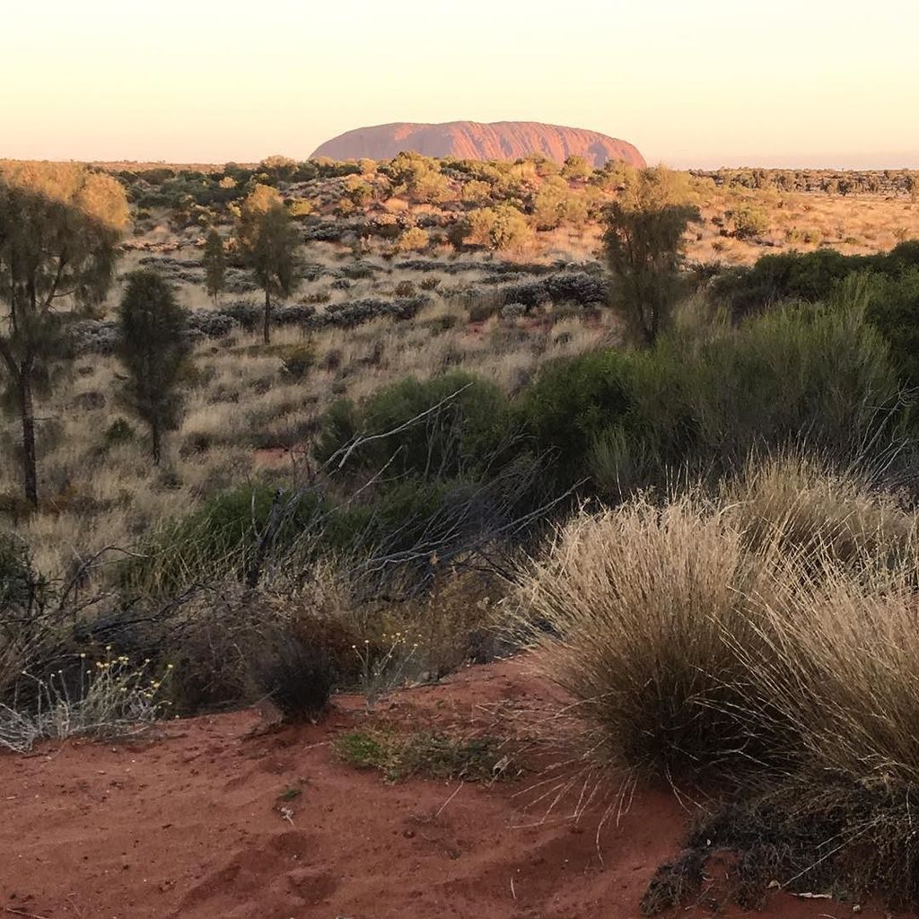 Tara_Dennis_'s tweet photo. First time here! #ulurusunset @bhgaus https://t.co/6PTOCkR9Sp