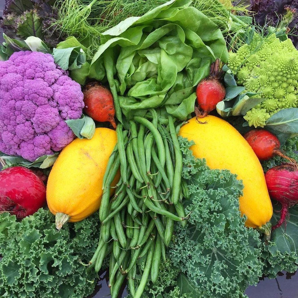 CafeSaus's tweet image. Back in the test kitchen this week with these lovely locally grown beauties from @midtjordgaard in #Randaberg! 👊#l… ift.tt/2vDcSA0