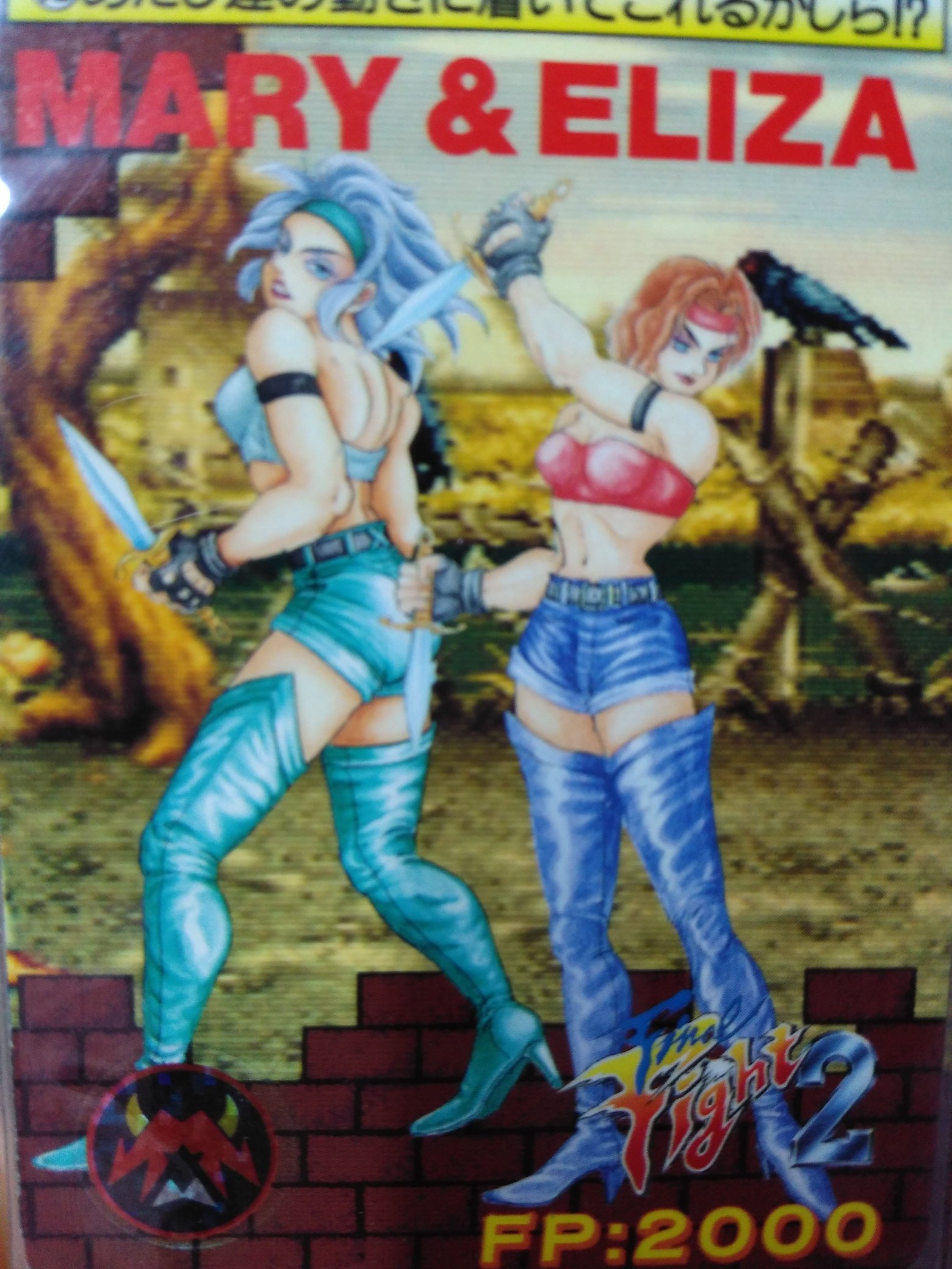 りょう Street Fighter Ar Twitter ファイナルファイトは ２ も タフ も敵キャラまで全身イラストがある手の込みようなのに 画集には初代ｆｆしか載らないんですよ どうにかして日の目を見ないですかね エリザたちの当時のイラスト T Co Cdjd6fdngu