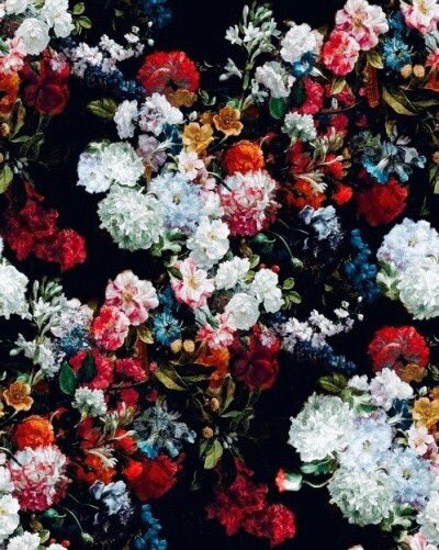 KpopAsFlower's tweet photo. • a.c.e https://t.co/KgkumIaVVX