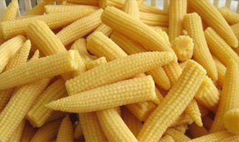 FoodProcessTech's tweet photo. #foodprocessing #interestingarticles
Studies on Effect of #Storage on #Quality of Minimally Processed #Babycorn @ https://t.co/1N34BkkeZt https://t.co/maMkHE1t1r