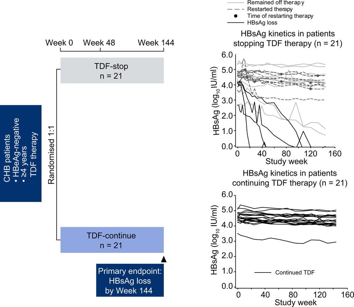 JHepatology's tweet photo. Potential to discontinue #tenofovir disoproxil fumarate (#TDF) therapy in #HBeAg-negative patients
https://t.co/I6ZohTY4kL
#HepB #HBV https://t.co/wsqpJ9lPZE