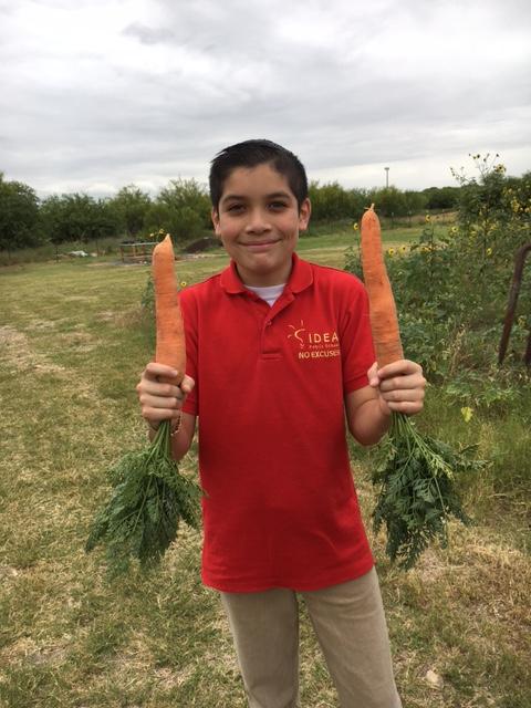 WorkOutHelpOut's tweet photo. This Saturday: Help IDEA Public Schools Prepare a Garden https://t.co/mZEiz1KUH4 https://t.co/nkoOCXs5E0