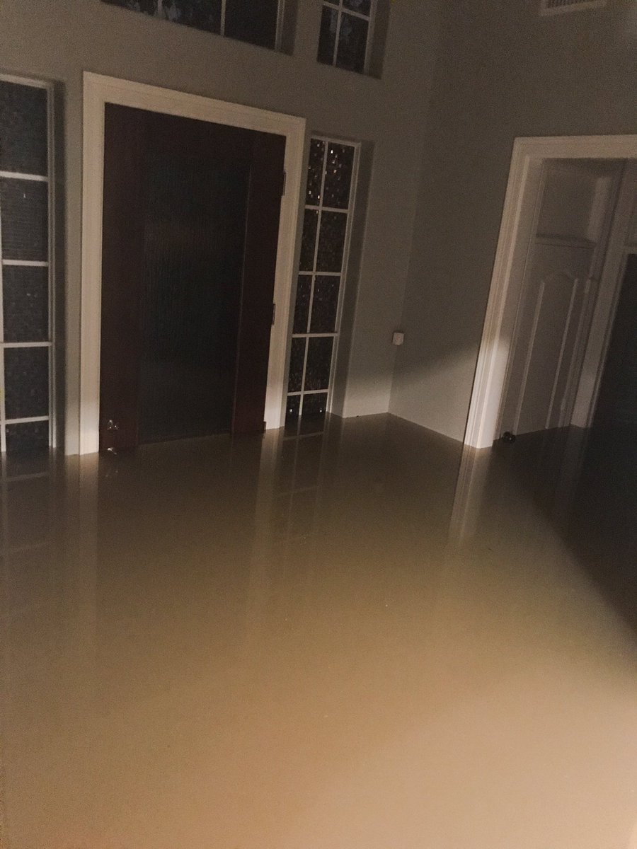 Foto inside my home at the moment - about 3 ft inside and about 7 ft on the middle of the street - Wimbledon Champions in Spring #harvey