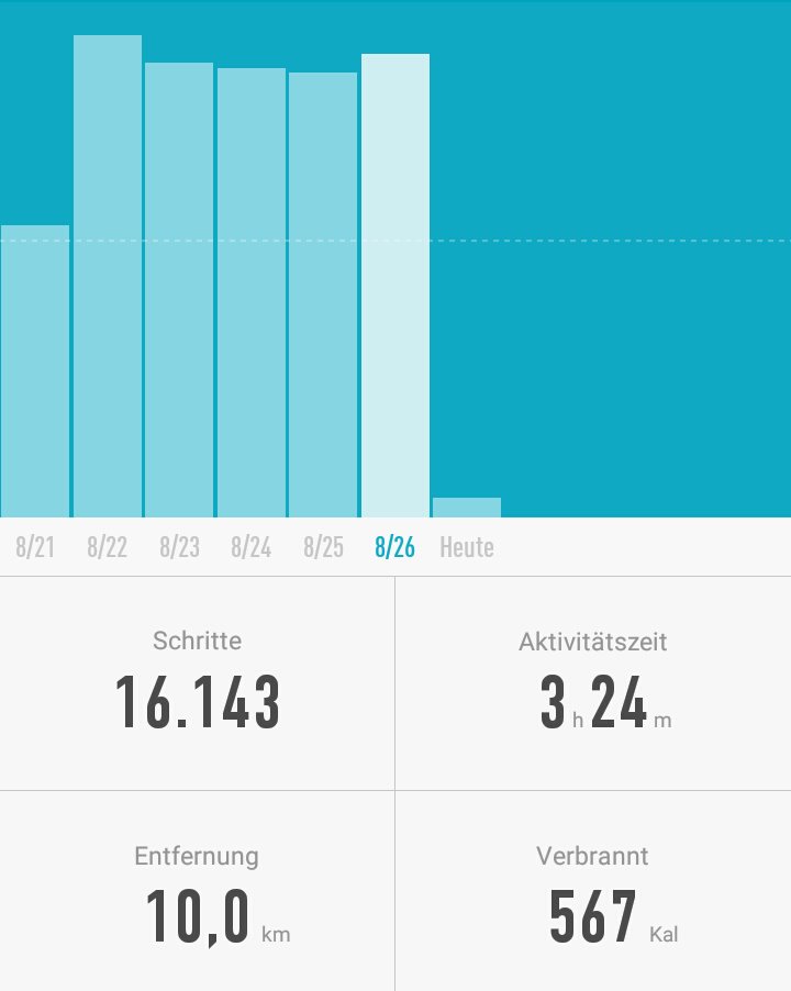 ShrimpsyKate's tweet photo. Gamescom 2017 Auswertung 🏃Durchschnittlich 16220 Schritte am Tag gelaufen. Gesamt: 81104 Schritte 🙌 #gamescom #stepbattle https://t.co/qtZq3wCPHA