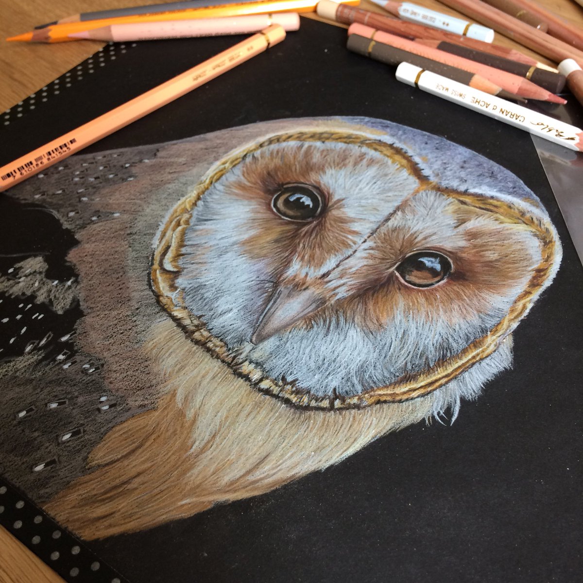 kpacker2000's tweet photo. ...when you didn't think you could @strathmoreart products anymore than you already do...
#owl #art #bird #artist #illustration #smallbiz https://t.co/grCX0jzqZj