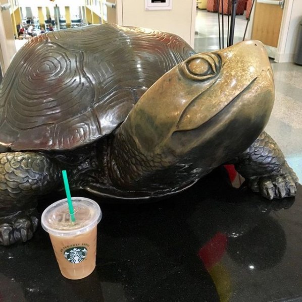 iaa_umd's tweet photo. Who else came prepared for the #firstdayofschool? Welcome back, Terps! #caffeinemagic #Testudo #terps https://t.co/d75lS9iFWr