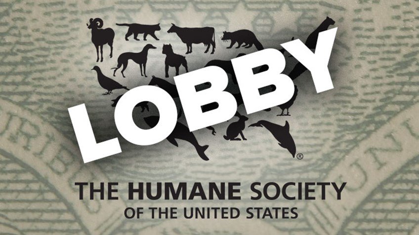 AmericanHunter's tweet photo. #HSUS Ruled a #Lobbying Organization— https://t.co/6DsotFBD8f — #HumaneWatch https://t.co/TyMxL44cgq