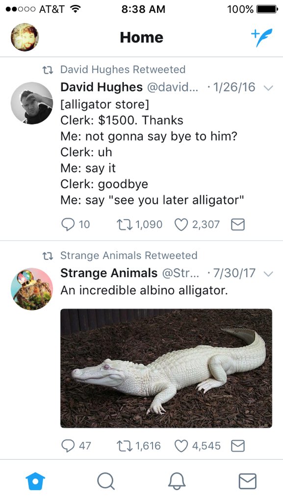 David Hughes Alligator Store Clerk 1500 Thanks Me Not Gonna Say Bye To Him Clerk Uh Me Say It Clerk Goodbye Me Say See You Later Alligator