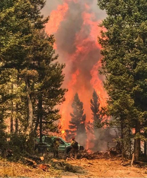 DOIWildlandFire's tweet photo. #DYK This is the 5th time that Preparedness Level 5 has been reached since 2007? #FireSeason
π· #SapphireComplex https://t.co/aEYoCv3GhR