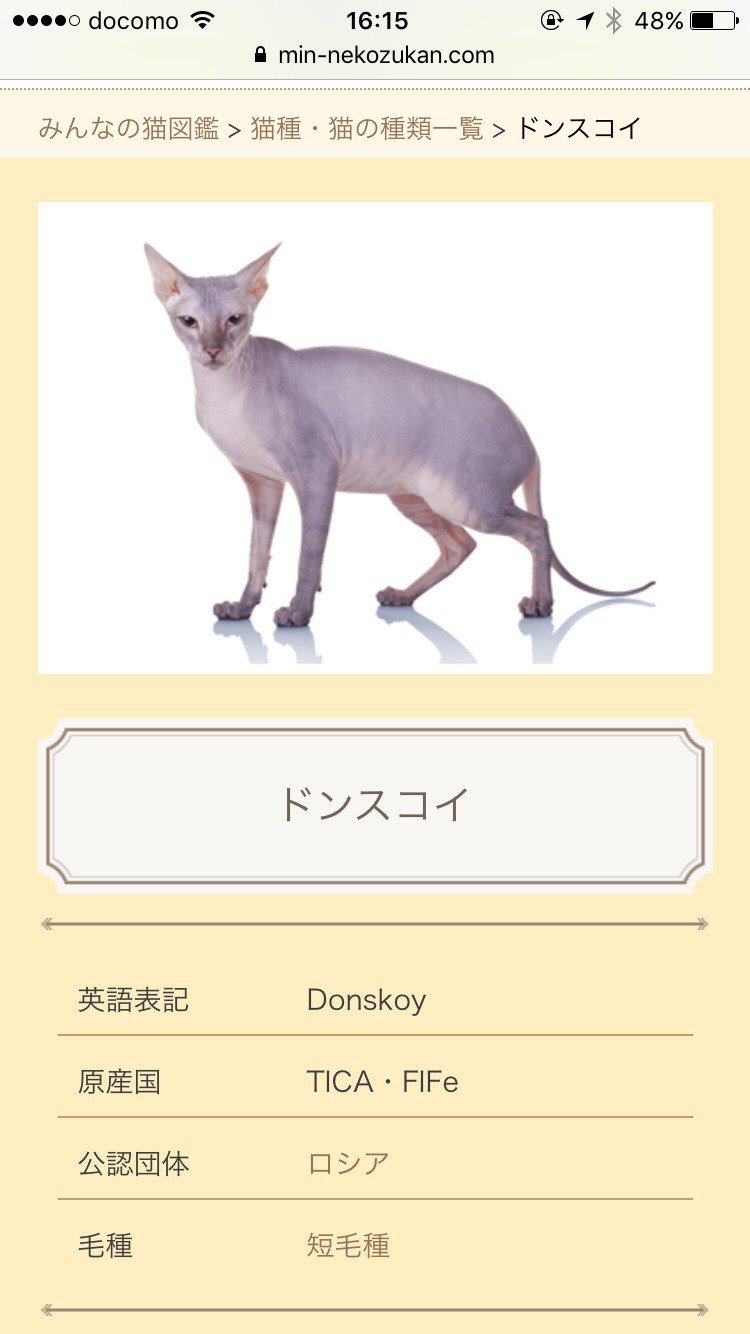 正義 せいぎ めっちゃスタイル良くてイケメンな猫やなぁ と思ったら名前ww お前ドンスコイって言うのかよww