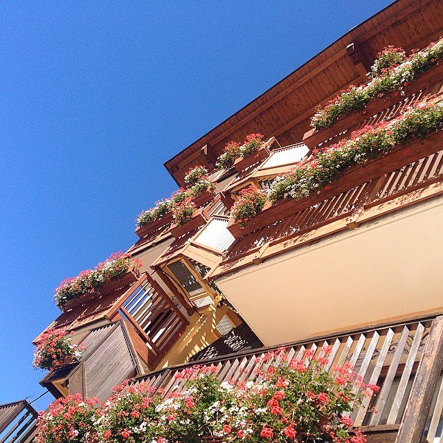 lucestelles's tweet photo. Vacanza total relax a contatto con la natura #CavallinoLovelyHotel #LovelyHotelAndalo #CavallinoAndaloWellness info https://t.co/PfJih16jnU https://t.co/g0uuKz55sp