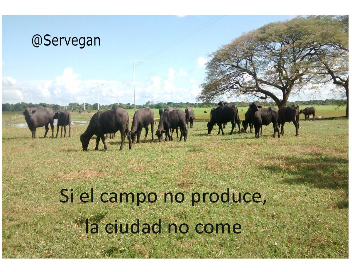 Si el campo no produce, la ciudad no come. Claro, sencillo, conciso, fuerte y contundente. #28Ago #FelizLunes