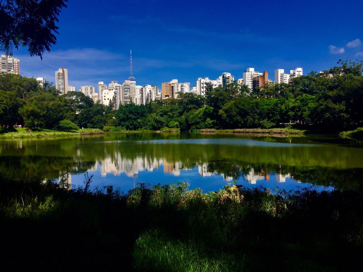 Bom dia, #betas! Vamos pontuar nessa manhã linda? #BetaAjudaBeta #timbeta #timbetaajudatimbeta #sdv #rt #RumoAoTimBetaLab #beta