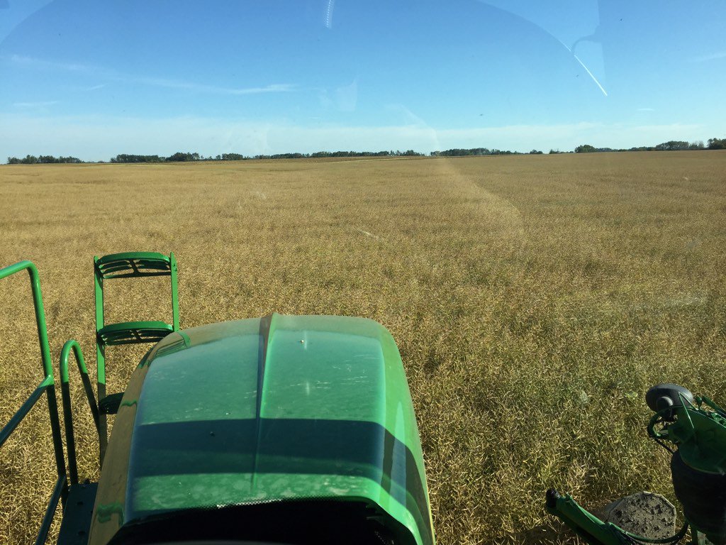 RonKrahn's tweet photo. SC vs swath yield trial getting set up. @Bayer4CropsCA #L140P https://t.co/i5jFfji2qm