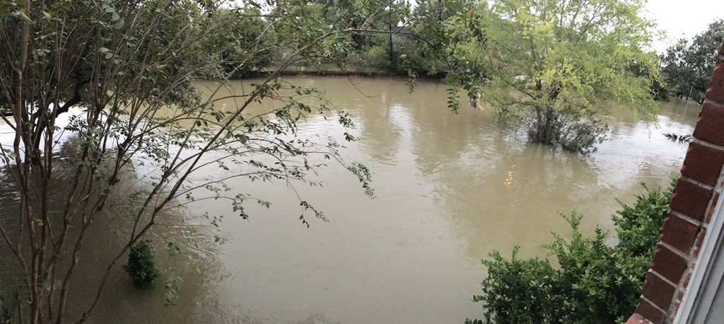 Front view from my house - about 6.5 ft deep based on water level at fence from across street - Wimbledon Champions Dr - Spring #harvey