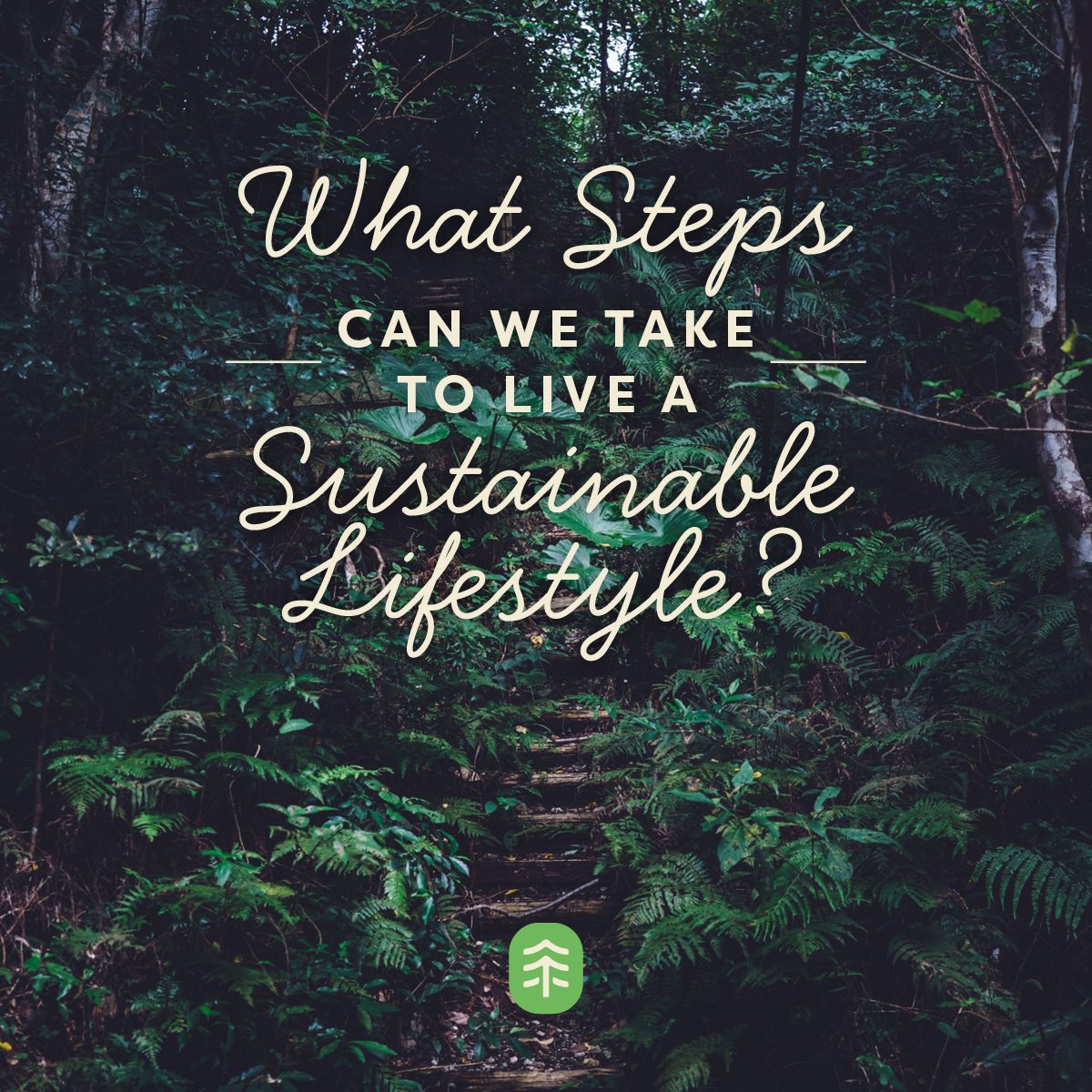 treeeraco's tweet photo. There are plenty of ways to live more sustainably without having to make huge sacrifices. #TreeCollective #Communitree https://t.co/xD07X7mpLu
