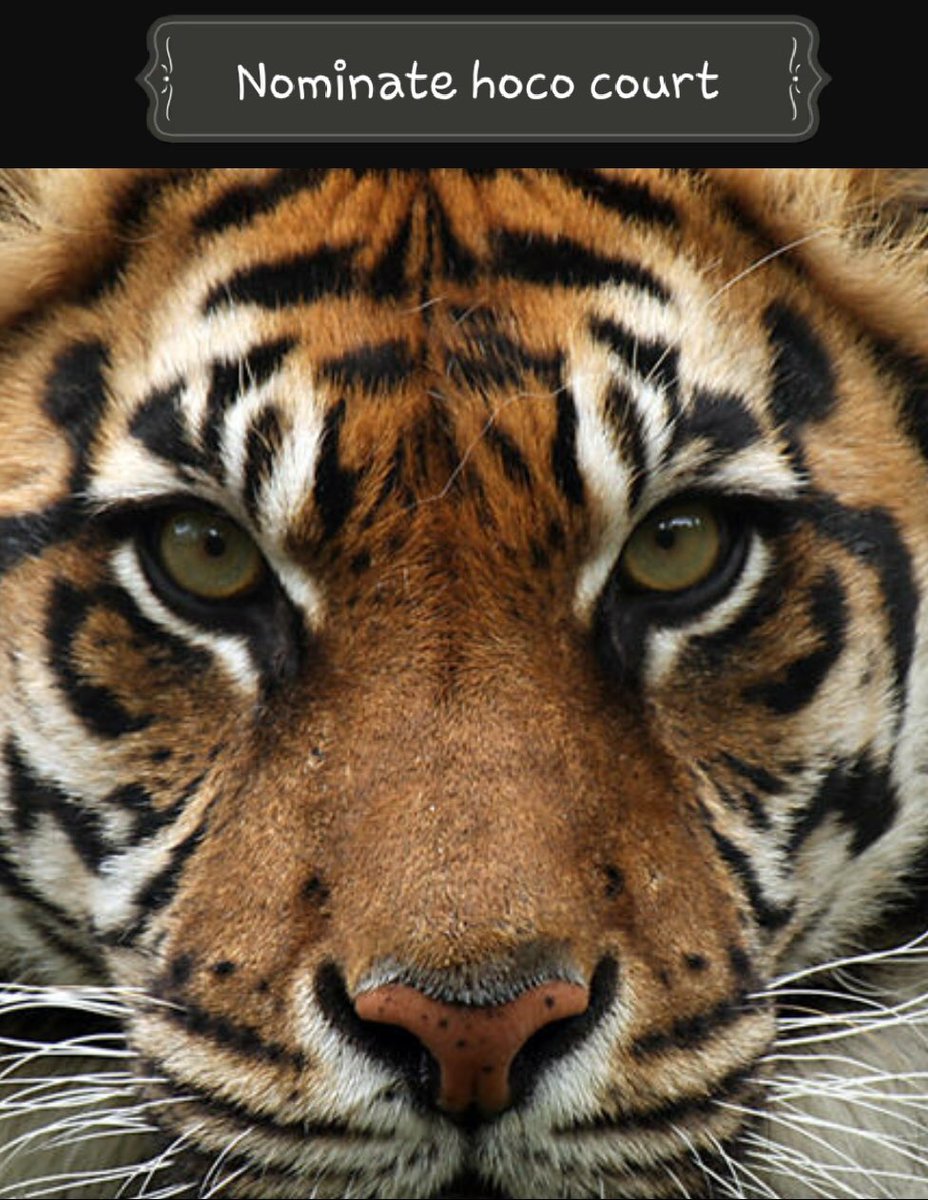 VOTE NOW! tallyspace.com/vote/edwardsvi…