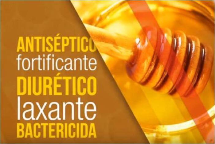 AgriculturaDia's tweet photo. #TipsAgro Estos son algunos beneficios del consumo de #Miel ¡Aprovéchelos y recuerde consumir productos colombianos! https://t.co/1mN1EzHP36
