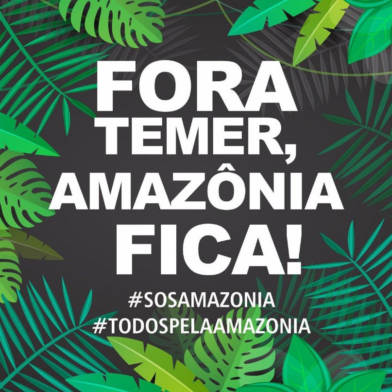 lolaescreva's tweet photo. Governo golpista c/94% de desaprovação ñ pode vender o país. Ñ devia nem estar no poder.  #TudoPelaAmazonia https://t.co/loUUmPJePX